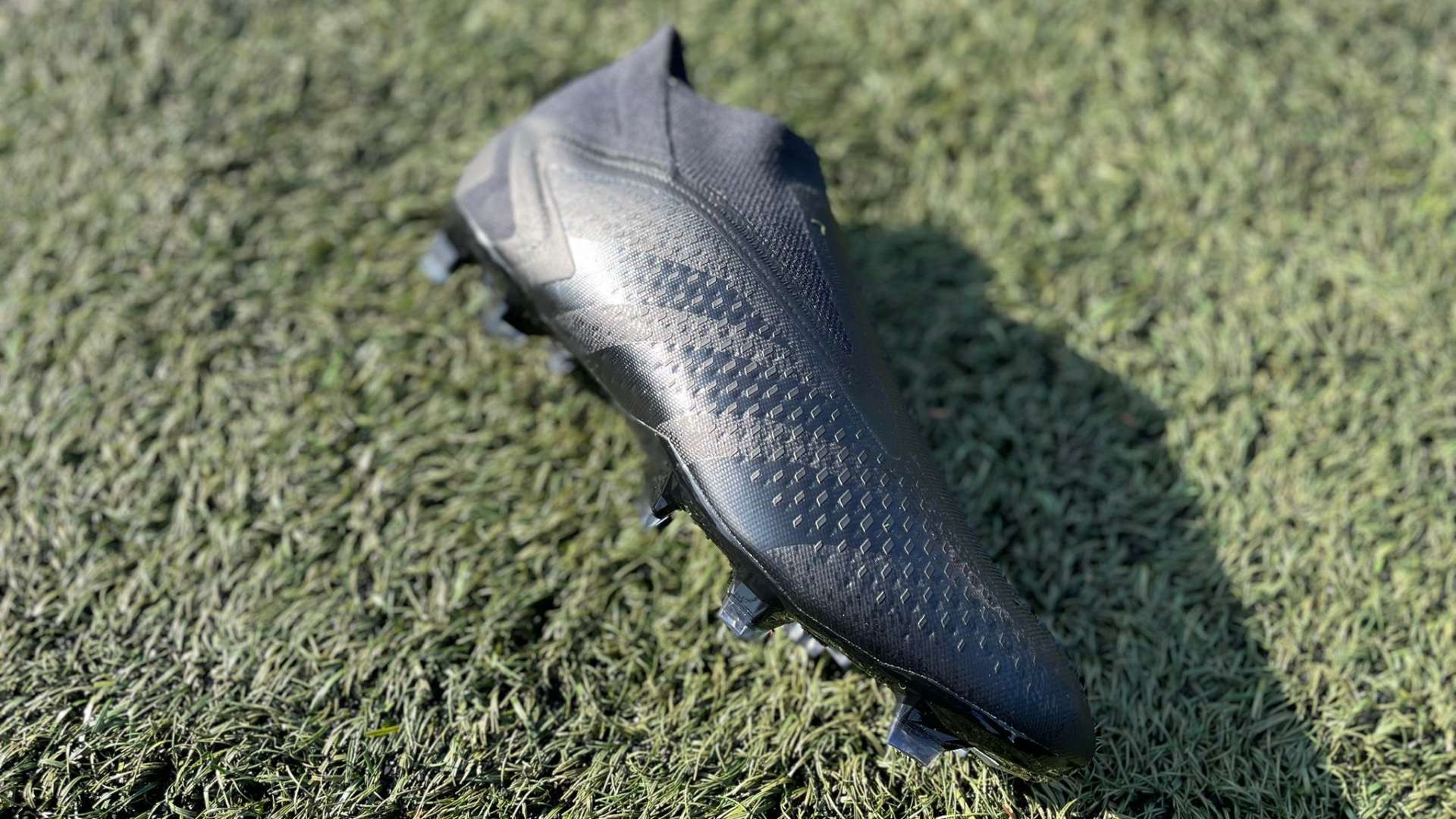 这只是他们 这只是他们